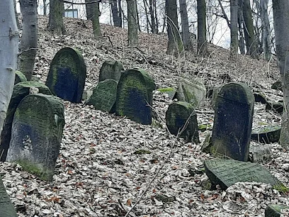 Cmentarz żydowski na Górze Zamkowej